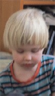 pict2617.jpg [111x193]